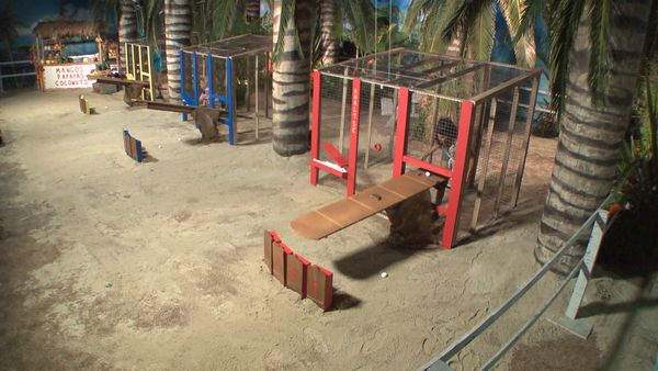 Big Brother - Episode 21