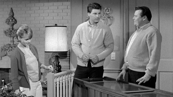 The Adventures of Ozzie and Harriet - Wally's TV Set