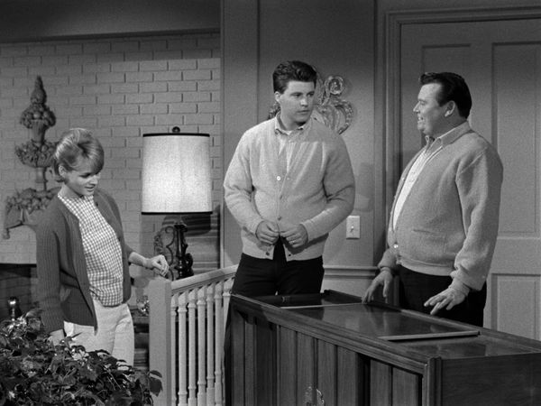 The Adventures of Ozzie and Harriet - Wally's TV Set