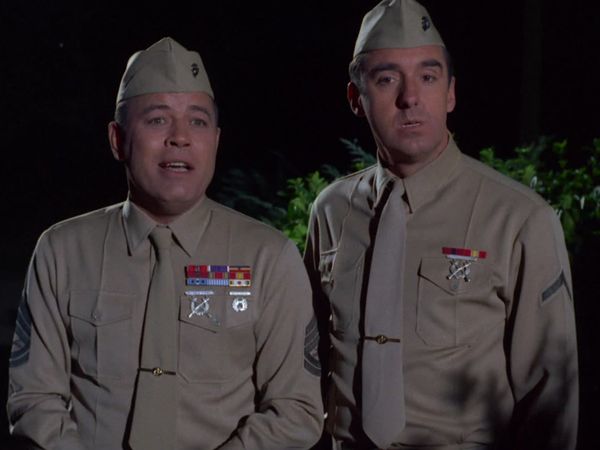 Gomer Pyle, U.S.M.C. - A Dog Is a Dog