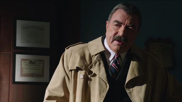 Blue Bloods - The Real Deal