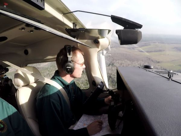 Wardens - Beavers, Elk, and a Squirrely Hunter