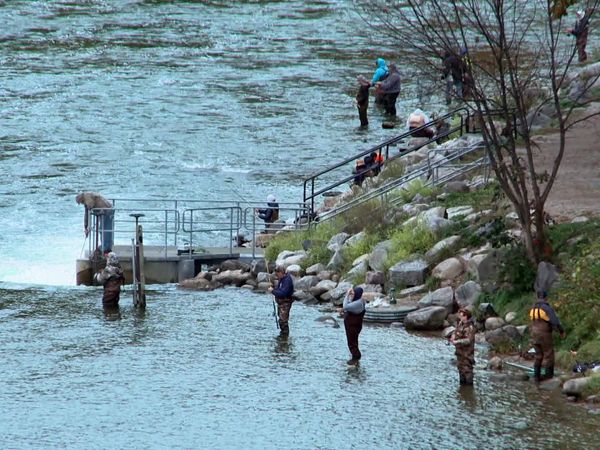Wardens - Fall Salmon Surveillance