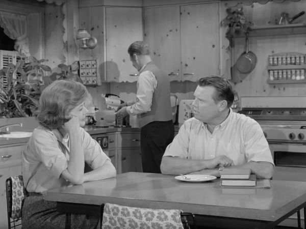 The Adventures of Ozzie and Harriet - The Nelsons Revisited