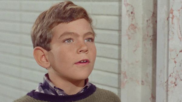 The Adventures of Ozzie and Harriet - An Honor for Oz