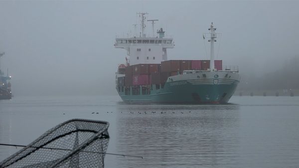 Fang mal was - Matschjes am Nord-Ostsee-Kanal