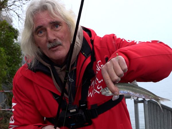 Fang mal was - Matschjes am Nord-Ostsee-Kanal