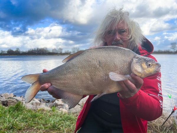 Fang mal was - Riesenbrassen am Kanal
