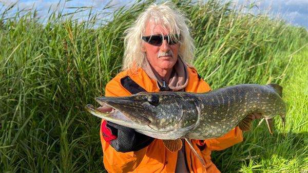 Fang mal was - Hechte gedippt mit Köderfisch