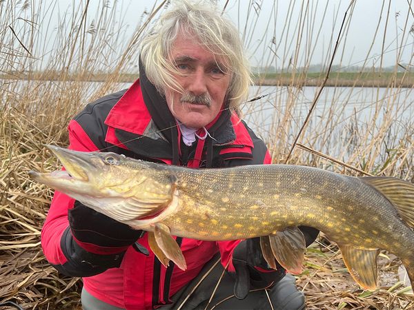 Fang mal was - Hechte gedippt mit Köderfisch