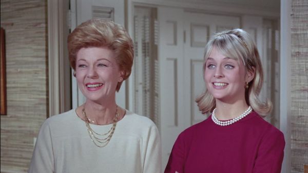 The Adventures of Ozzie and Harriet - Ozzie a Go-Go