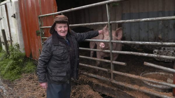 The Yorkshire Vet - Episode 12