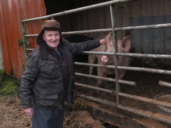 The Yorkshire Vet - Episode 12