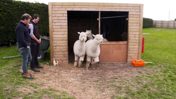 The Yorkshire Vet - Episode 8