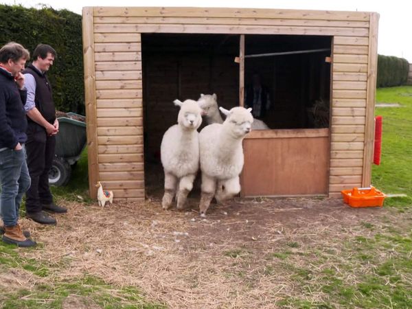 The Yorkshire Vet - Episode 8