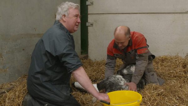 The Yorkshire Vet - Episode 6