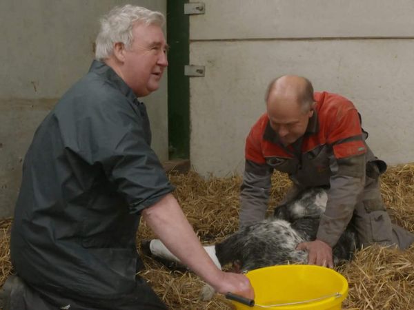 The Yorkshire Vet - Episode 6