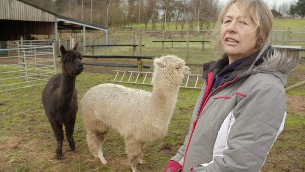 The Yorkshire Vet - Episode 3