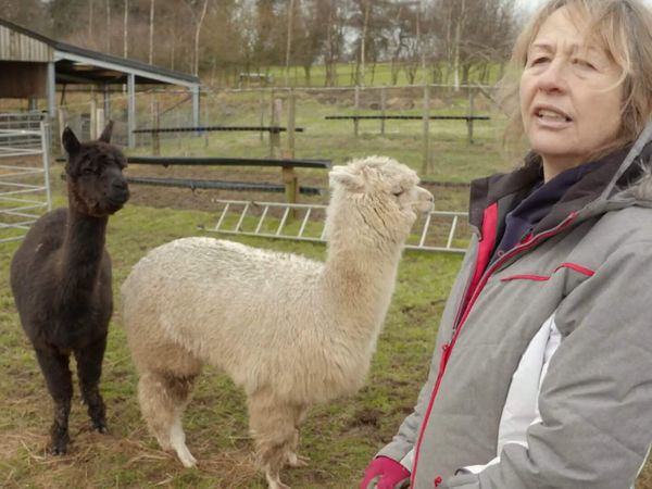 The Yorkshire Vet - Episode 3