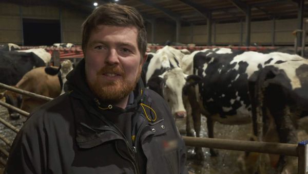 The Yorkshire Vet - Episode 1