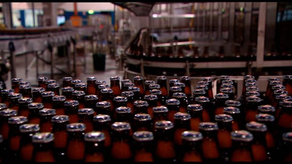 Beer: An Insiders Guide - Appreciating Beer