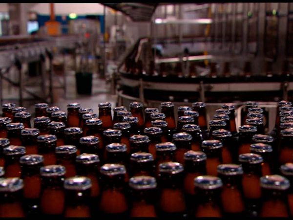 Beer: An Insiders Guide - Appreciating Beer