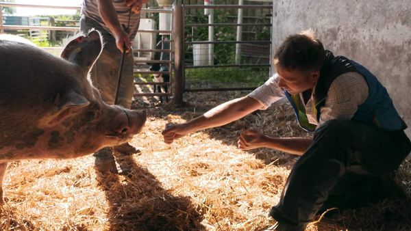 The Yorkshire Vet - Episode 9