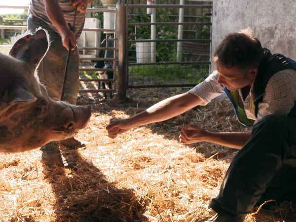The Yorkshire Vet - Episode 9