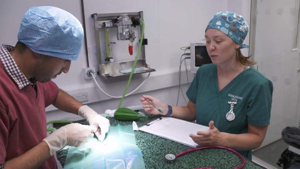 The Yorkshire Vet - Episode 8