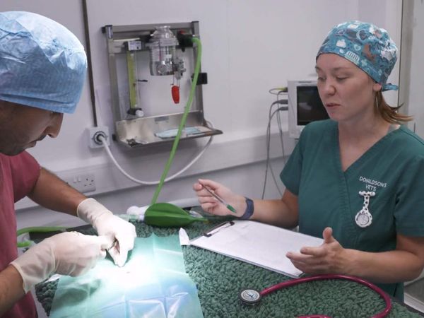 The Yorkshire Vet - Episode 8