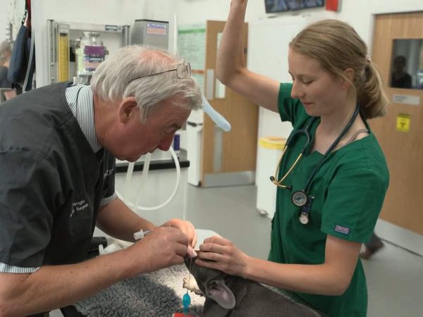 The Yorkshire Vet - Episode 4