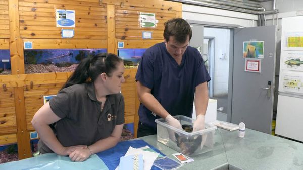 The Yorkshire Vet - Episode 10