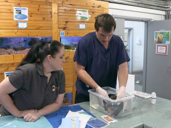 The Yorkshire Vet - Episode 10