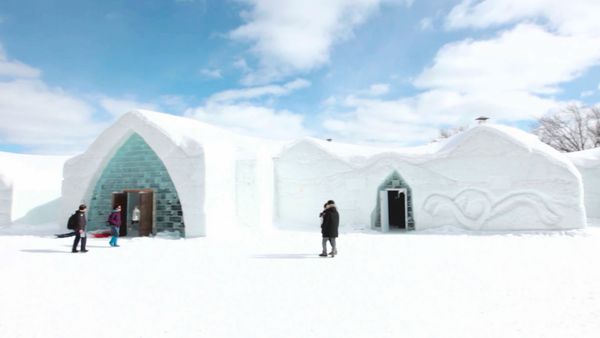 Great Escapes - Hotel Glace, Library Hotel, and Paws Up Ranch