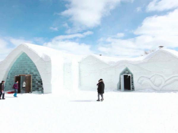 Great Escapes - Hotel Glace, Library Hotel, and Paws Up Ranch