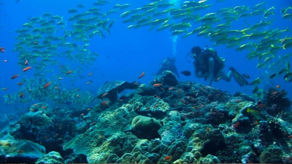 Great Escapes - Hurawalhi Island Resort, Marival Resort, Thompson Hotel