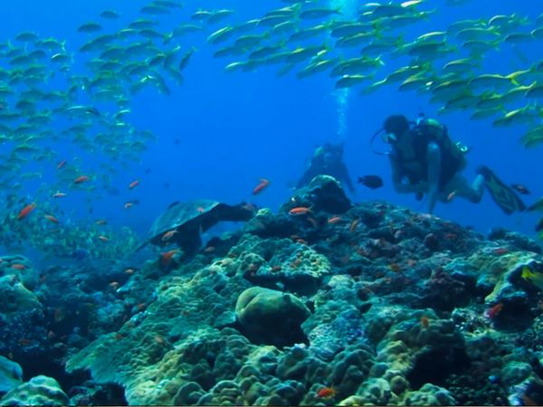 Great Escapes - Hurawalhi Island Resort, Marival Resort, Thompson Hotel