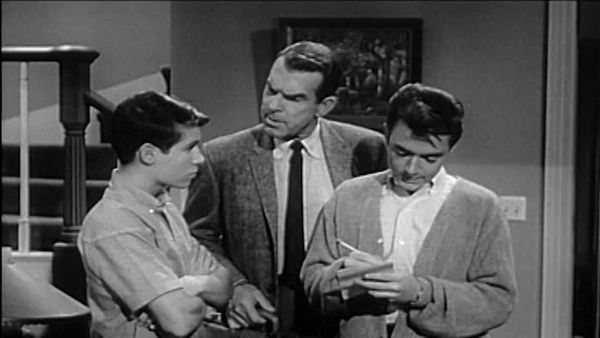 My Three Sons - The System