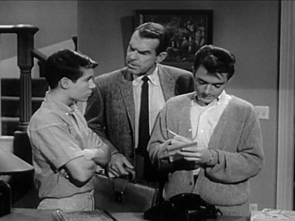 My Three Sons - The System