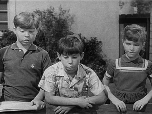 My Three Sons - High on the Hog