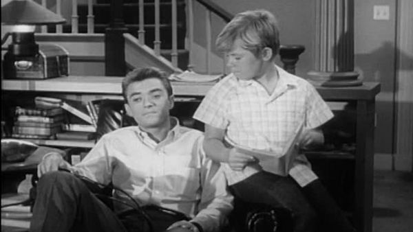 My Three Sons - Pretty as a Picture
