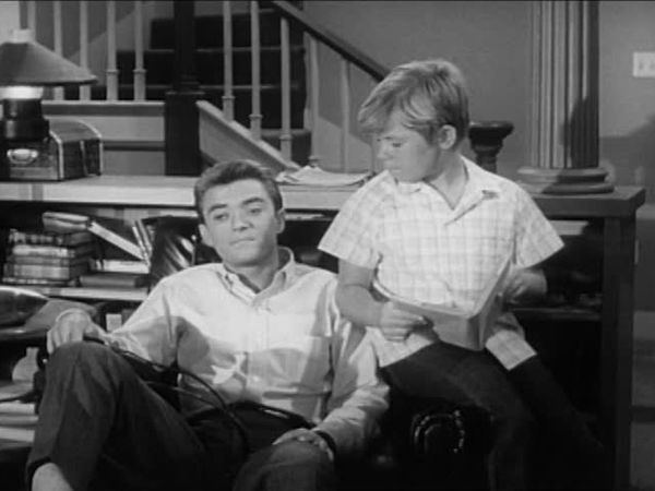 My Three Sons - Pretty as a Picture