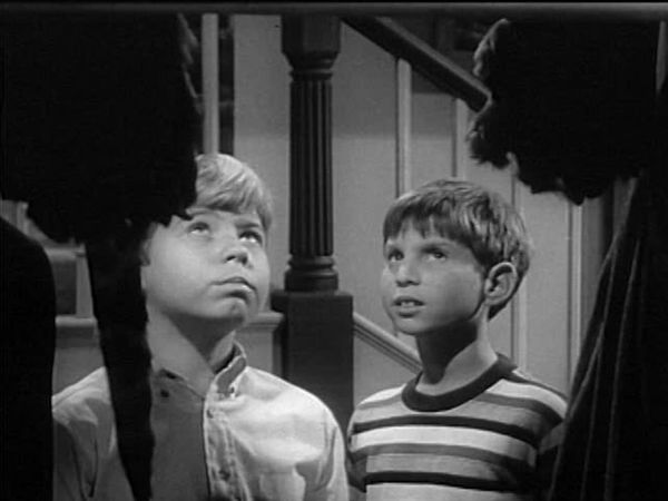 My Three Sons - The Rug