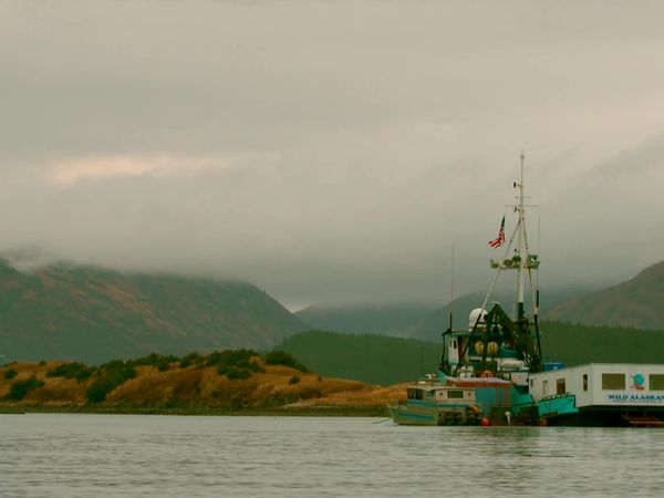 Alaska Bush Pilots - Deadman's Survival