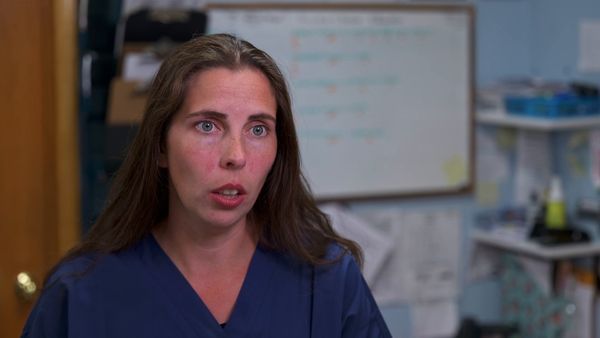 Dr. Savannah: Wild Rose Vet - The Fawn & The Hound