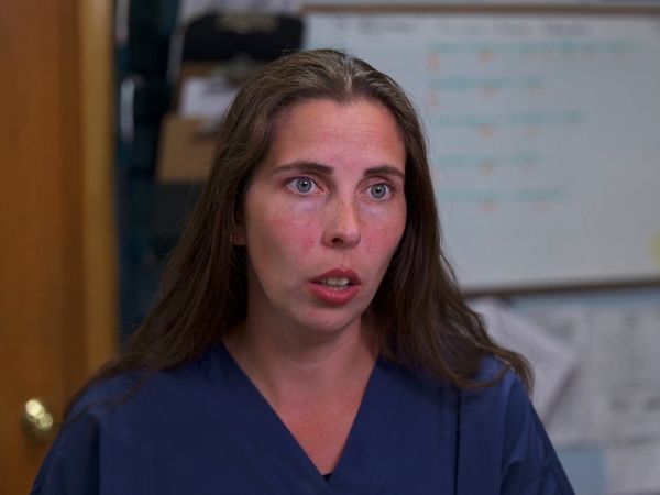 Dr. Savannah: Wild Rose Vet - The Fawn & The Hound