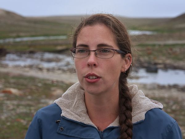 Dr. Savannah: Wild Rose Vet - Purple Saxifrage Vet
