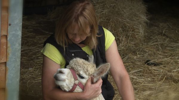 The Yorkshire Vet Countryside Specials - The Yorkshire Vet Countryside Specials