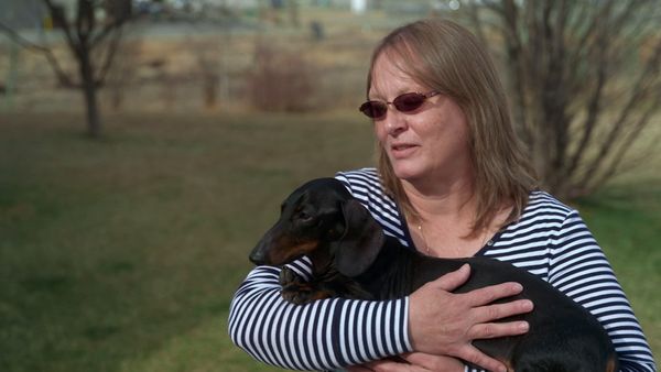 Dr. Savannah: Wild Rose Vet - The Human Element
