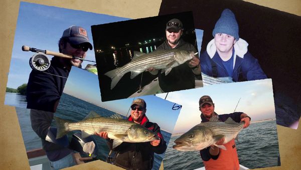 Das Boat - Skyline Stripers with Ryan Callaghan and Joe Cermele